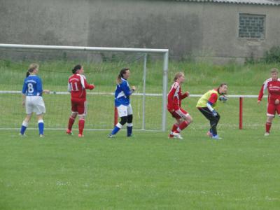Foto des Albums: HSV - Beetz/Sommerfeld