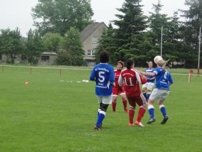 Foto des Albums: HSV - Beetz/Sommerfeld