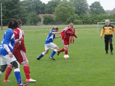 Foto des Albums: HSV - Beetz/Sommerfeld