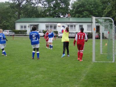 Foto des Albums: HSV - Beetz/Sommerfeld