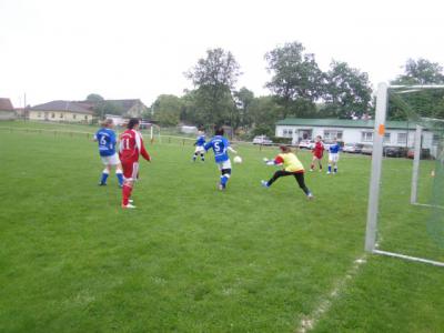 Foto des Albums: HSV - Beetz/Sommerfeld