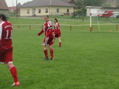 Foto des Albums: HSV - Beetz/Sommerfeld