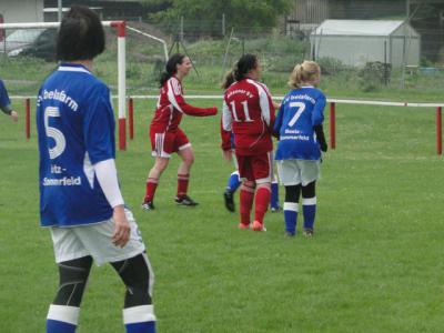 Foto des Albums: HSV - Beetz/Sommerfeld