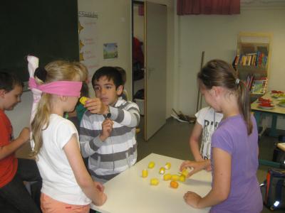 Foto des Albums: Projekt Klasse 3b