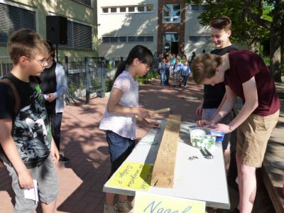 Foto des Albums: Kinderfest -Juni 2013