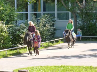 Foto des Albums: Kinderfest -Juni 2013
