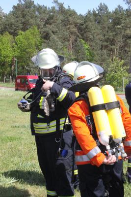 Foto des Albums: Einsatzübung 2012