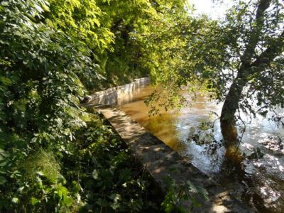 Foto des Albums: Hochwasser 7. Juni (07. 06. 2013)