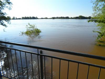 Foto des Albums: Hochwasser 7. Juni (07. 06. 2013)