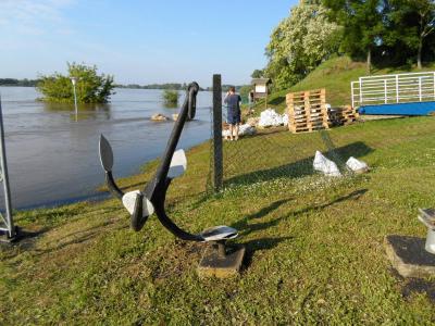 Foto des Albums: Hochwasserbilder 8. Juni (08. 06. 2013)