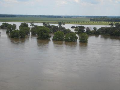 Foto des Albums: Hochwasserbilder 8. Juni (08. 06. 2013)