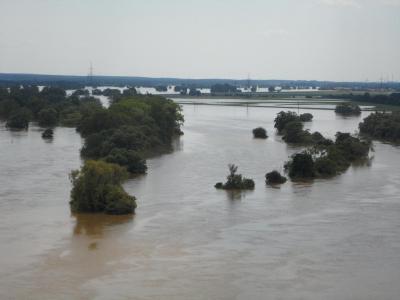 Foto des Albums: Hochwasserbilder 8. Juni (08. 06. 2013)