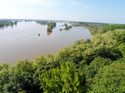 Foto des Albums: Hochwasserbilder 8. Juni (08. 06. 2013)