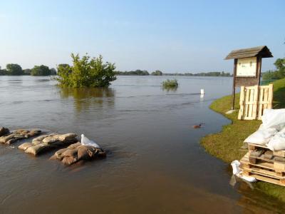 Foto des Albums: Hochwasser 9. 6. (09. 06. 2013)