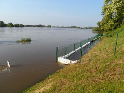 Foto des Albums: Hochwasser 9. 6. (09. 06. 2013)