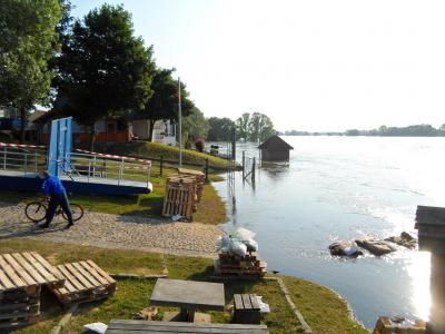 Foto des Albums: Hochwasser 9. 6. (09. 06. 2013)