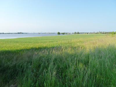 Foto des Albums: Hochwasser 9. 6. (09. 06. 2013)