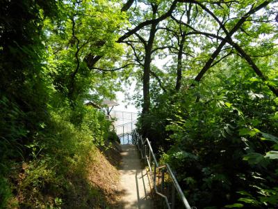 Foto des Albums: Hochwasser 9. 6. (09. 06. 2013)