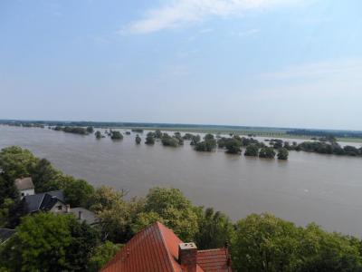 Foto des Albums: Hochwasser 9. 6. (09. 06. 2013)