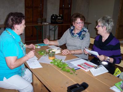 bei der Wahl  (Bild vergrößern)