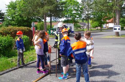 Foto des Albums: Projektwoche Grundschule Wißmar (13. 06. 2013)