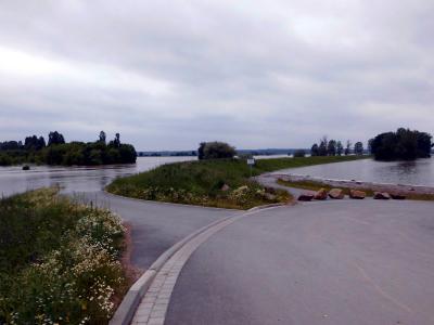 Foto des Albums: Bilder vom Hochwasser Mühlberg und Umgebung