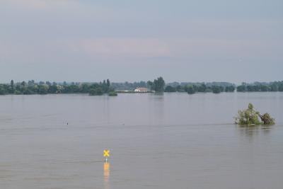 Foto des Albums: Bilder vom Hochwasser Mühlberg und Umgebung