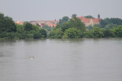 Foto des Albums: Bilder vom Hochwasser Mühlberg und Umgebung