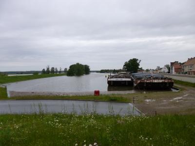 Foto des Albums: Bilder vom Hochwasser Mühlberg und Umgebung