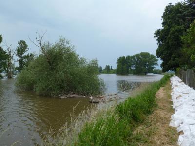 Foto des Albums: Bilder vom Hochwasser Mühlberg und Umgebung