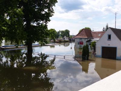 Foto des Albums: Bilder vom Hochwasser Mühlberg und Umgebung
