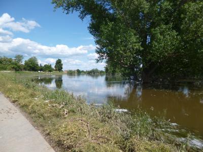 Foto des Albums: Bilder vom Hochwasser Mühlberg und Umgebung