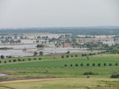 Foto des Albums: Hochwasser vor Zielitz geht zurück (17. 06. 2013)