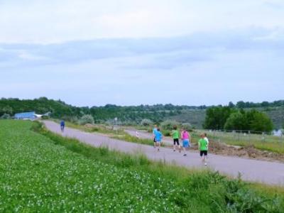 Foto des Albums: Der Seelandlauf