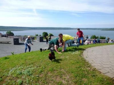 Foto des Albums: Seelandfest 2013