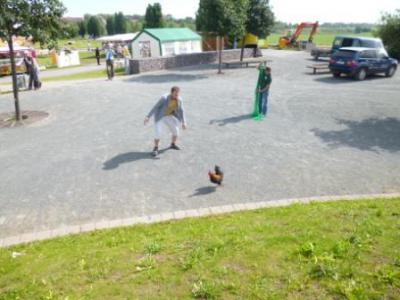 Foto des Albums: Seelandfest 2013
