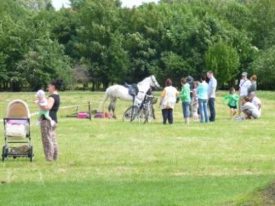 Foto des Albums: Seelandfest 2013