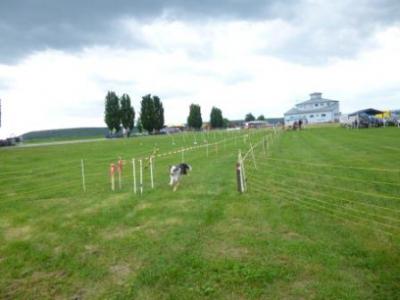 Foto des Albums: Seelandfest 2013