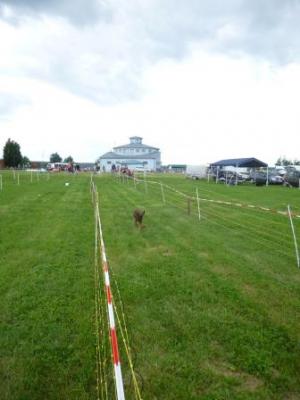 Foto des Albums: Seelandfest 2013