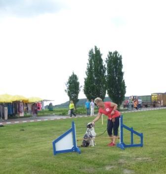 Foto des Albums: Seelandfest 2013