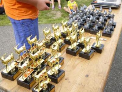 Foto des Albums: Seelandfest 2013