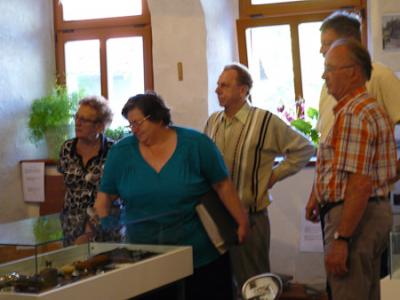 Foto: Steinbrecher  (Bild vergr&ouml;&szlig;ern)