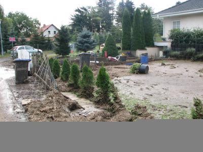 Fotos: Steinbrecher, K&uuml;rbis, Halle, Wicht  (Bild vergr&ouml;&szlig;ern)