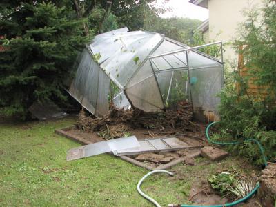 Fotos: Steinbrecher, K&uuml;rbis, Halle, Wicht  (Bild vergr&ouml;&szlig;ern)