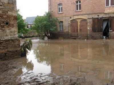 Fotos: Steinbrecher, K&uuml;rbis, Halle, Wicht  (Bild vergr&ouml;&szlig;ern)