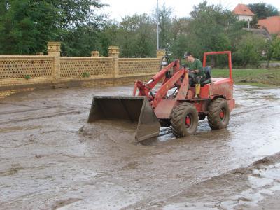 Fotos: Steinbrecher, K&uuml;rbis, Halle, Wicht  (Bild vergr&ouml;&szlig;ern)