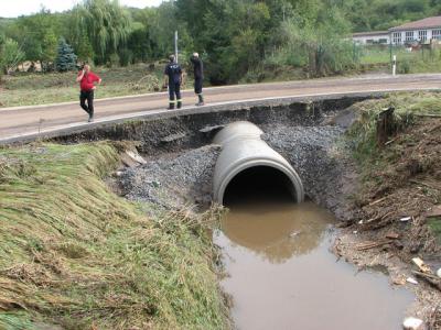 Fotos: Steinbrecher, K&uuml;rbis, Halle, Wicht  (Bild vergr&ouml;&szlig;ern)