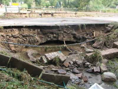 Fotos: Steinbrecher, K&uuml;rbis, Halle, Wicht  (Bild vergr&ouml;&szlig;ern)
