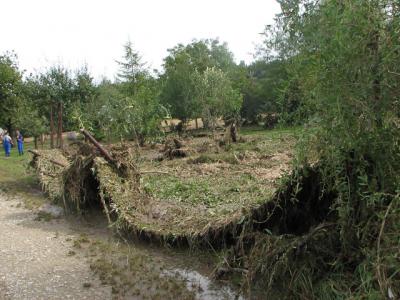 Fotos: Steinbrecher, K&uuml;rbis, Halle, Wicht  (Bild vergr&ouml;&szlig;ern)