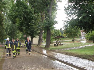Fotos: Steinbrecher, K&uuml;rbis, Halle, Wicht  (Bild vergr&ouml;&szlig;ern)
